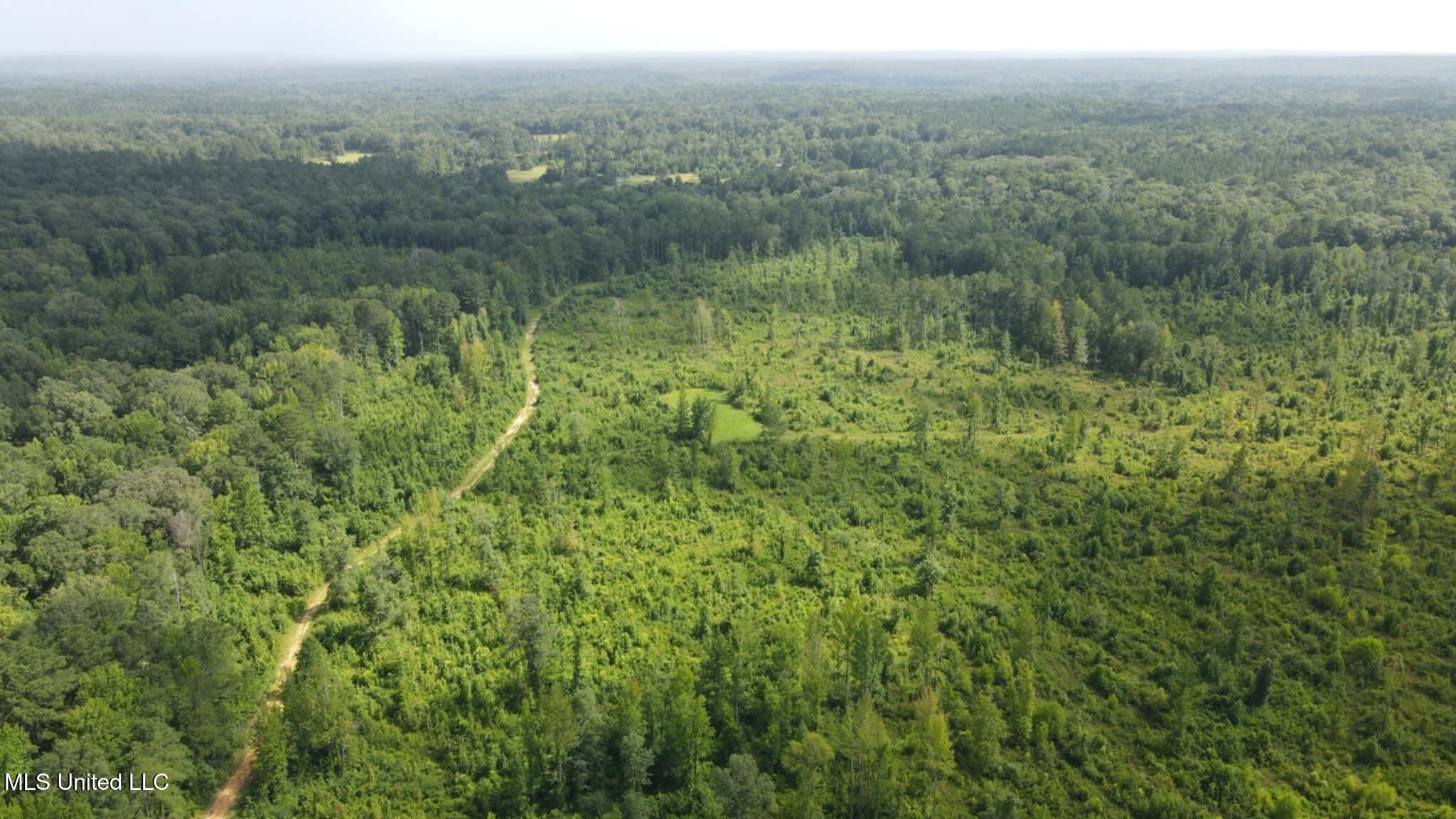 Phares Lane Roxie, MS 39661 - Photo 119 of 173 Messenger_creation_60B91708-0945-45BA-85