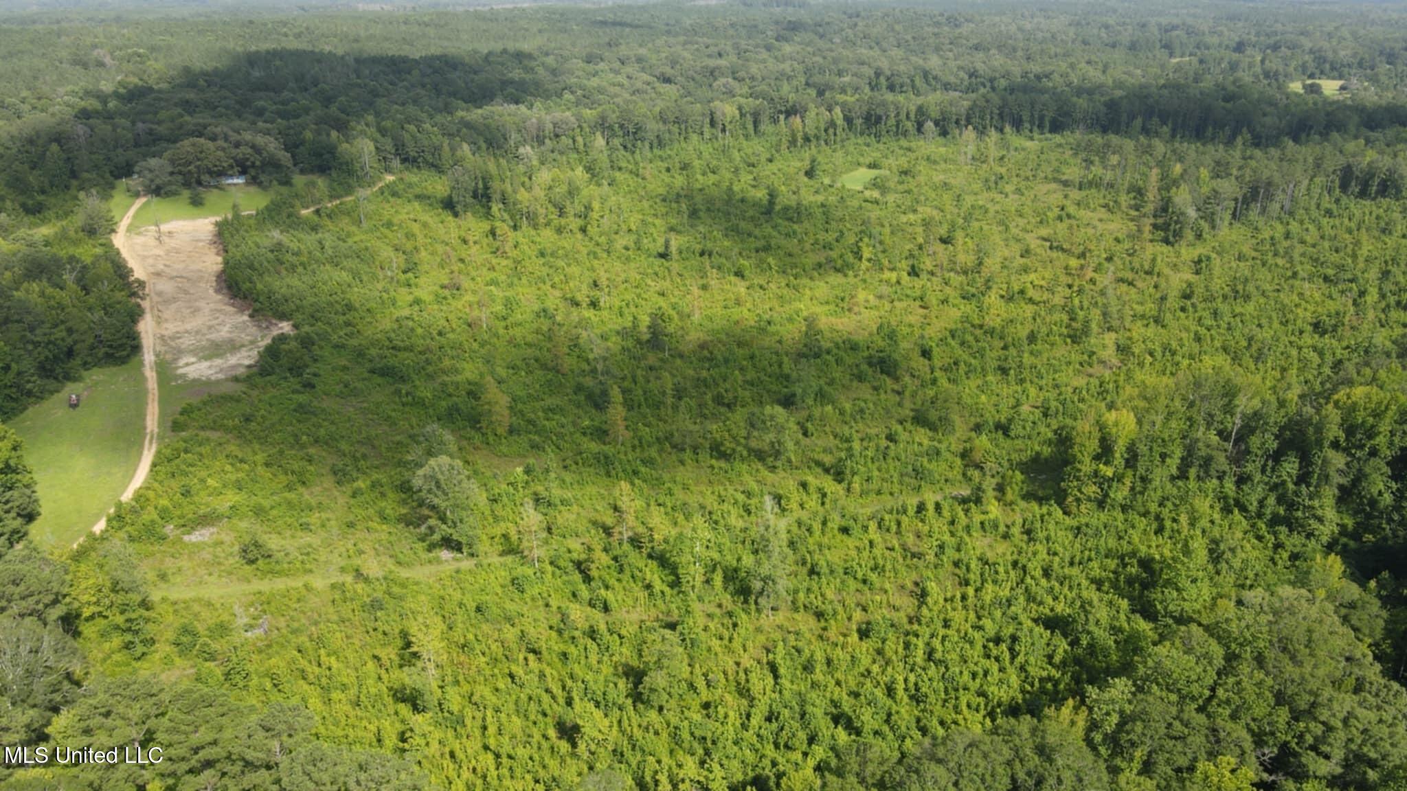 Phares Lane Roxie, MS 39661 - Photo 120 of 173 Messenger_creation_64E4245F-706F-46EA-96