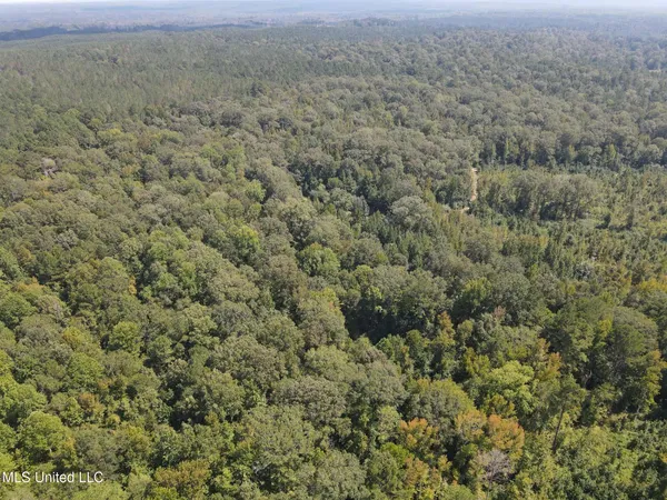 $1,299,000 | Phares Lane, Roxie, MS 39661