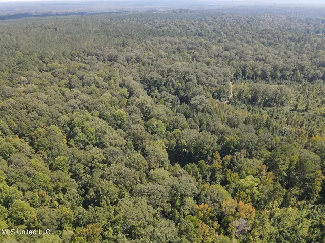 $1,299,000 | Phares Lane, Roxie, MS 39661