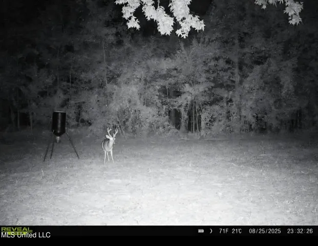 $1,299,000 | Phares Lane, Roxie, MS 39661