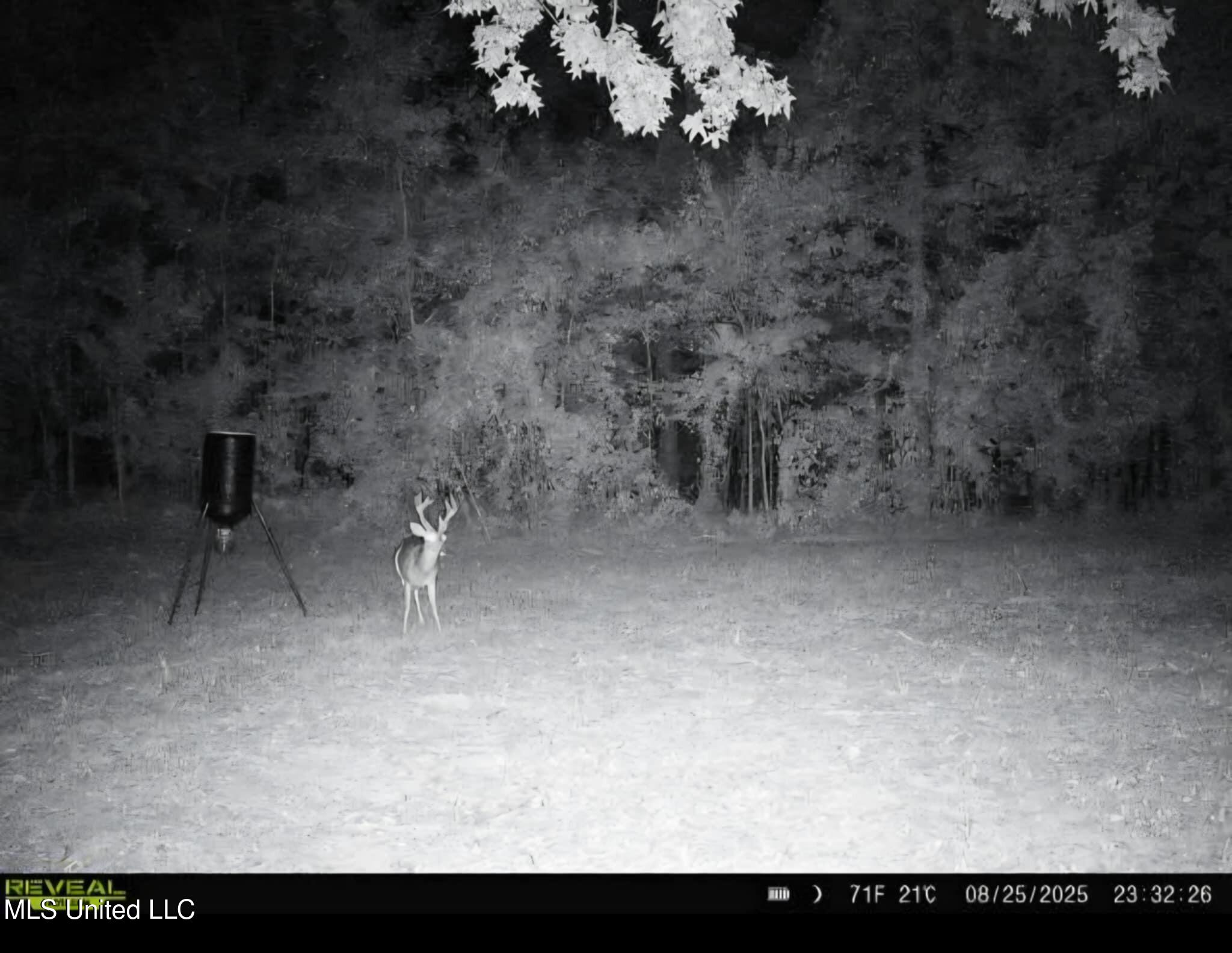 Phares Lane Roxie, MS 39661 - Photo 123 of 173 Messenger_creation_85BB81D6-93D3-4C09-81