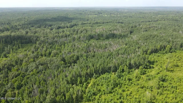 $1,299,000 | Phares Lane, Roxie, MS 39661