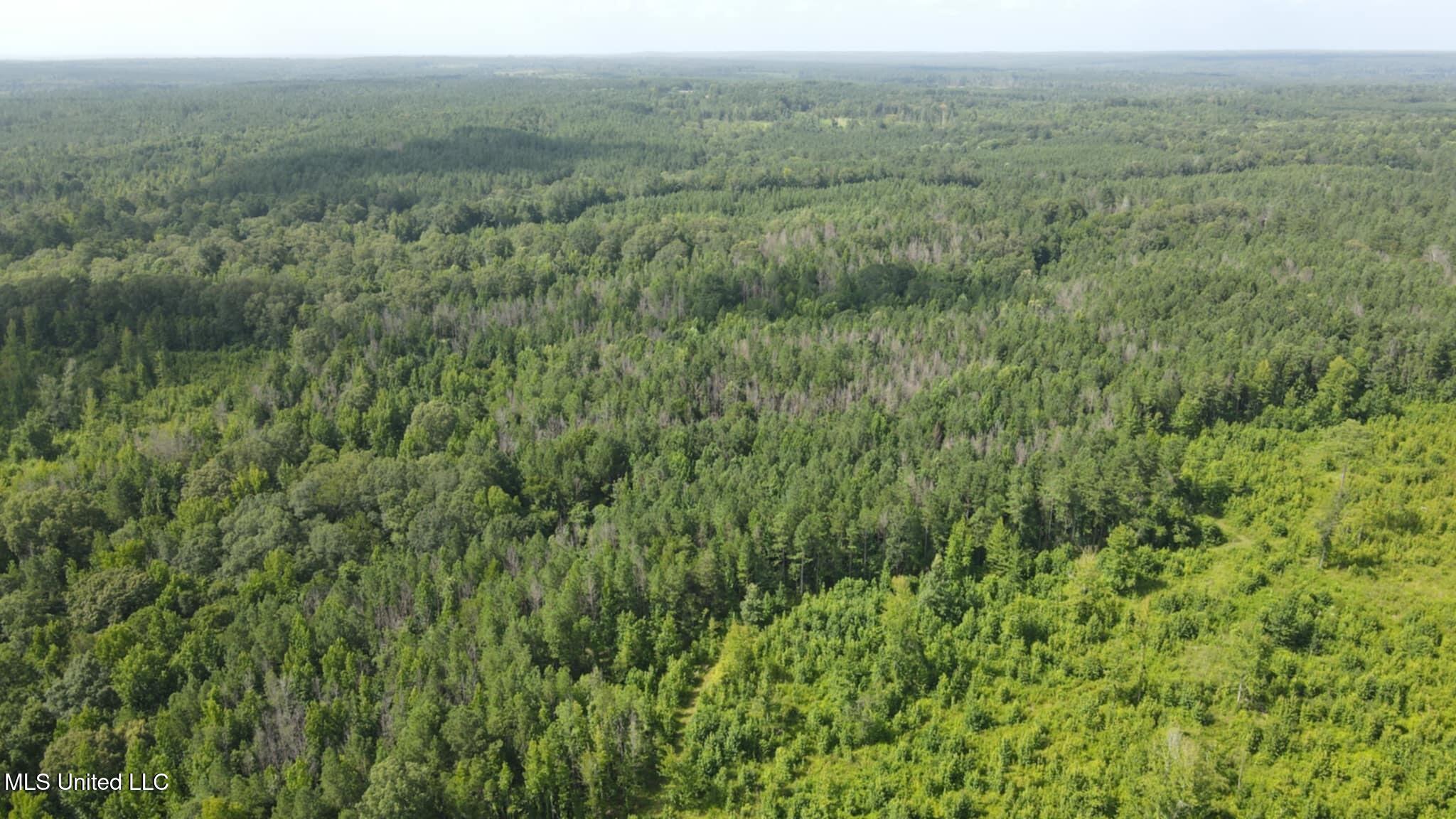 Phares Lane Roxie, MS 39661 - Photo 124 of 173 Messenger_creation_89CDC4E1-F335-4F97-88