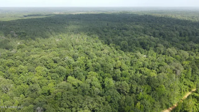 $1,299,000 | Phares Lane, Roxie, MS 39661