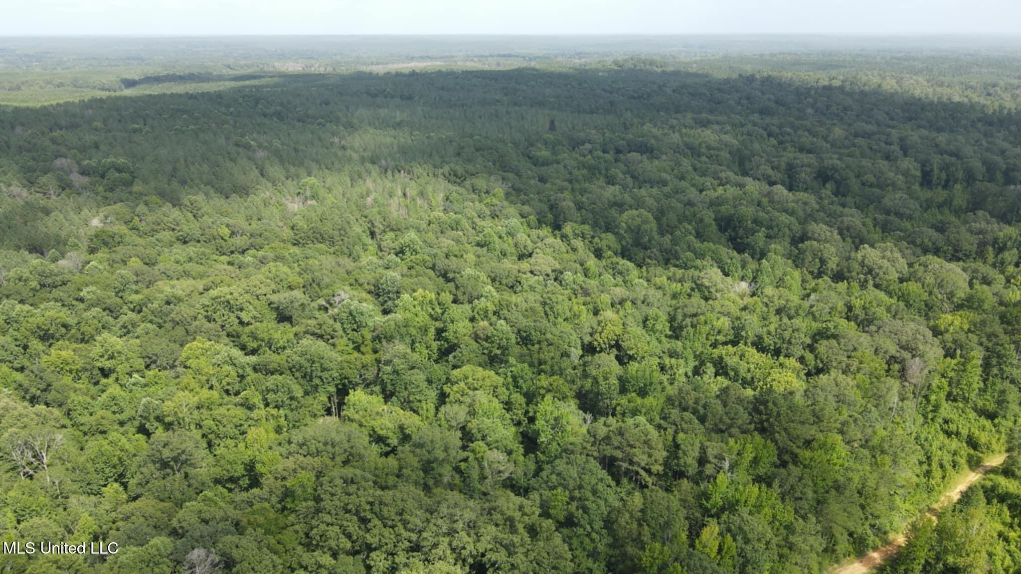 Phares Lane Roxie, MS 39661 - Photo 125 of 173 Messenger_creation_117ACAD9-868C-4910-9A