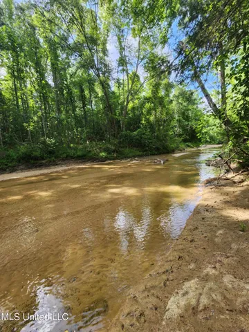 $1,299,000 | Phares Lane, Roxie, MS 39661