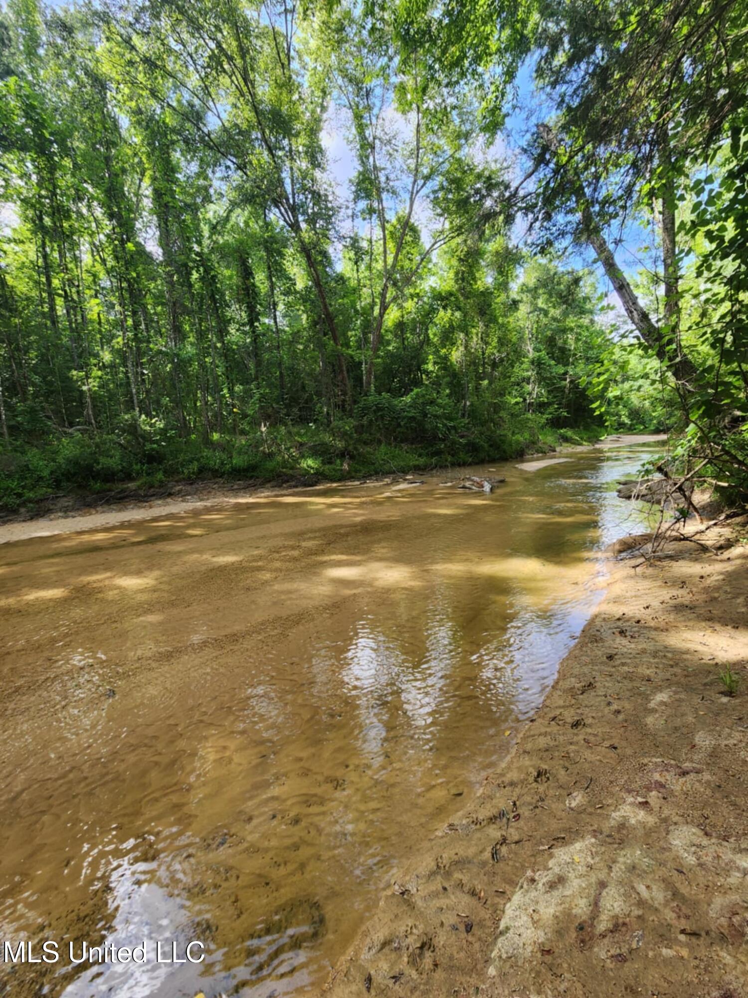Phares Lane Roxie, MS 39661 - Photo 130 of 173 Messenger_creation_0456C25E-EE2C-421A-8D