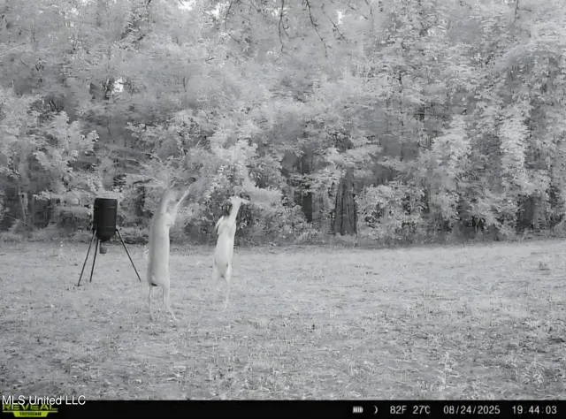 $1,299,000 | Phares Lane, Roxie, MS 39661