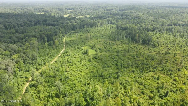 $1,299,000 | Phares Lane, Roxie, MS 39661
