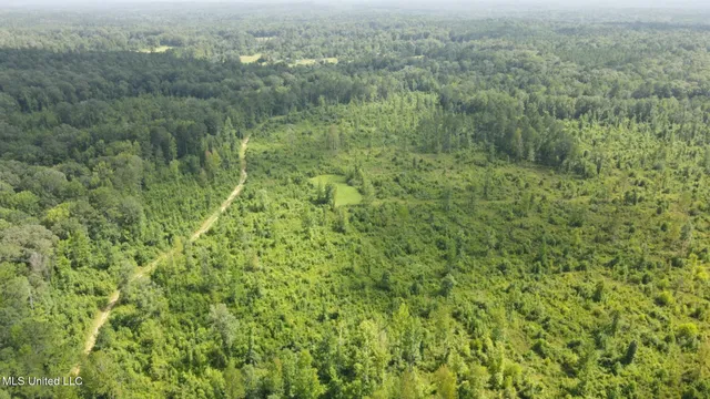 $1,299,000 | Phares Lane, Roxie, MS 39661