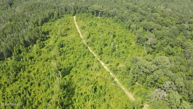 $1,299,000 | Phares Lane, Roxie, MS 39661