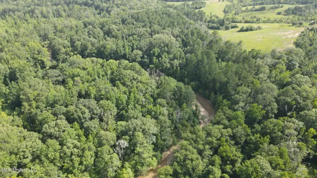 $1,299,000 | Phares Lane, Roxie, MS 39661