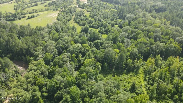 $1,299,000 | Phares Lane, Roxie, MS 39661