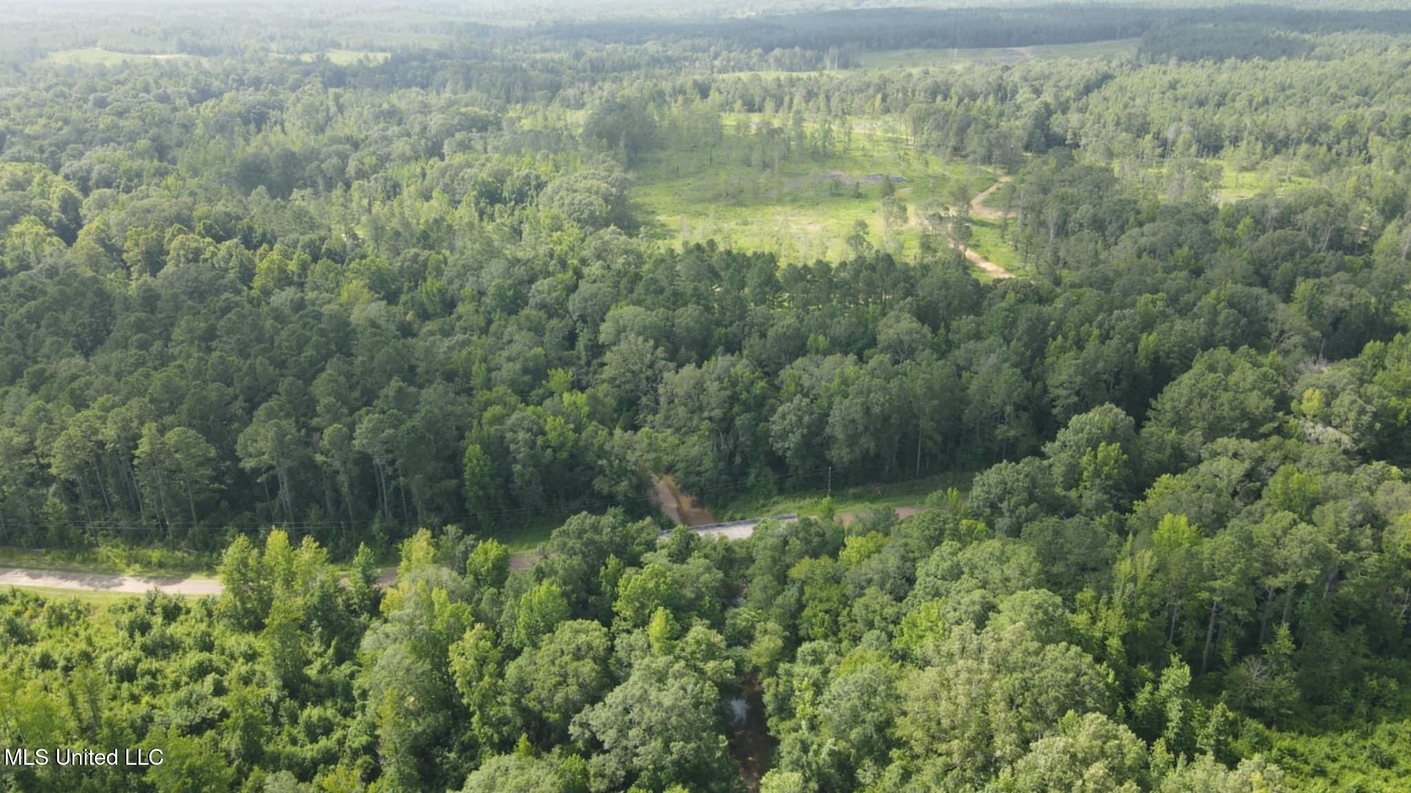 Phares Lane Roxie, MS 39661 - Photo 147 of 173 Messenger_creation_AB866E71-2D4A-49BC-87