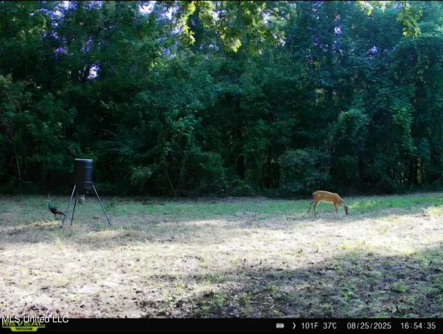 $1,299,000 | Phares Lane, Roxie, MS 39661