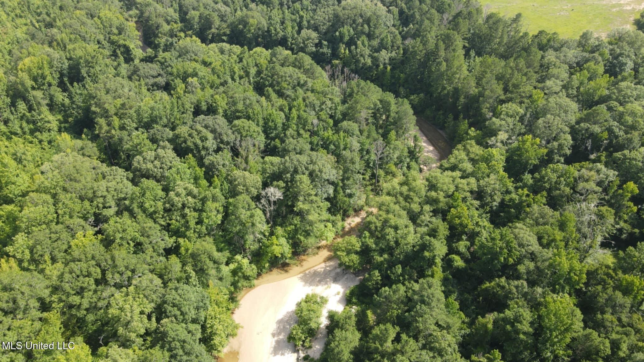 Phares Lane Roxie, MS 39661 - Photo 149 of 173 Messenger_creation_ACCB6AC0-ADB0-4072-B6