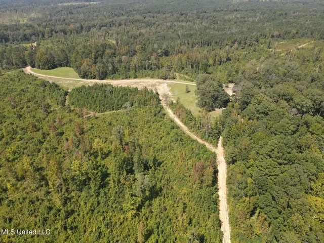 $1,299,000 | Phares Lane, Roxie, MS 39661