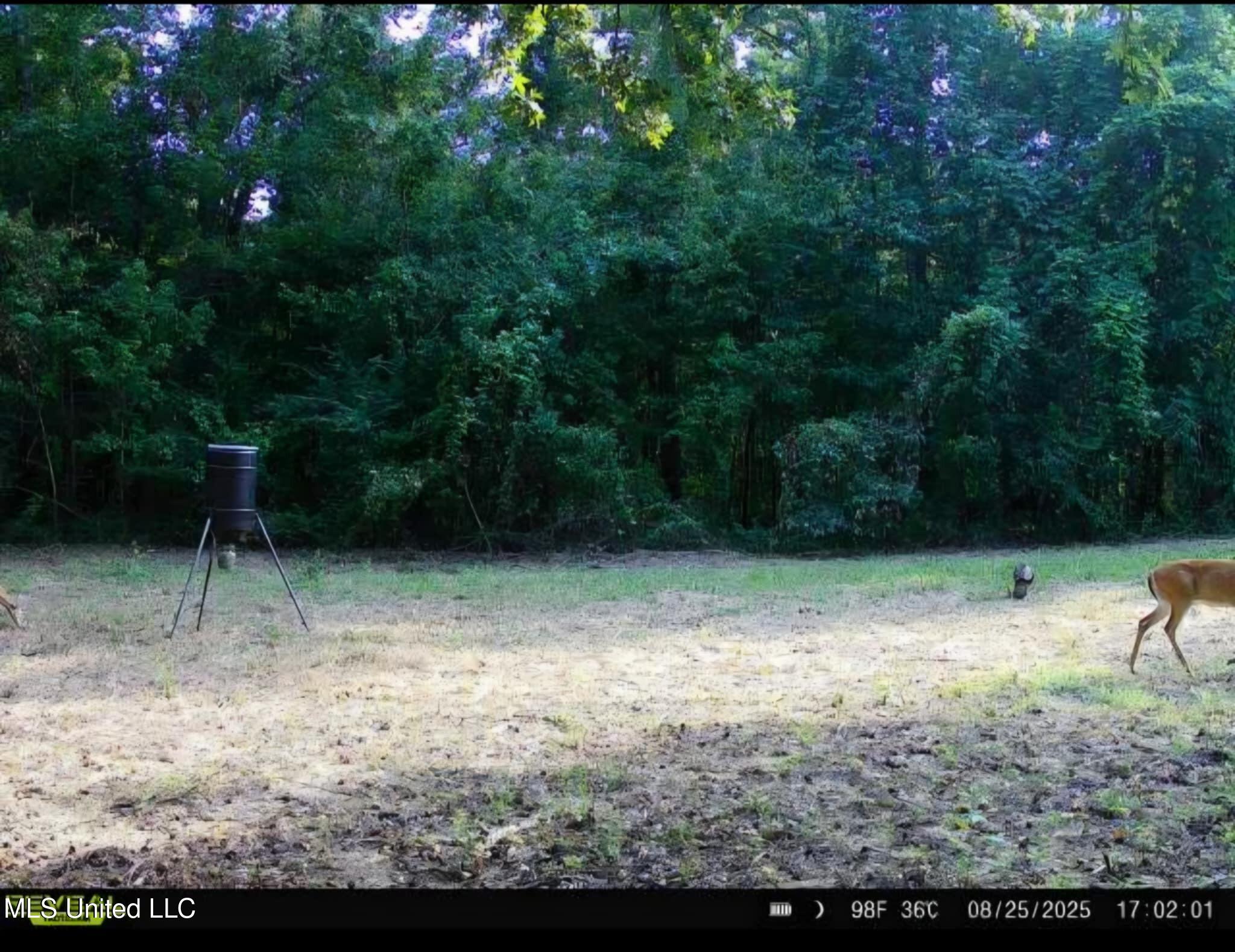 Phares Lane Roxie, MS 39661 - Photo 151 of 173 Messenger_creation_B6F52DE8-50B6-466B-8F