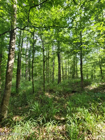 $1,299,000 | Phares Lane, Roxie, MS 39661