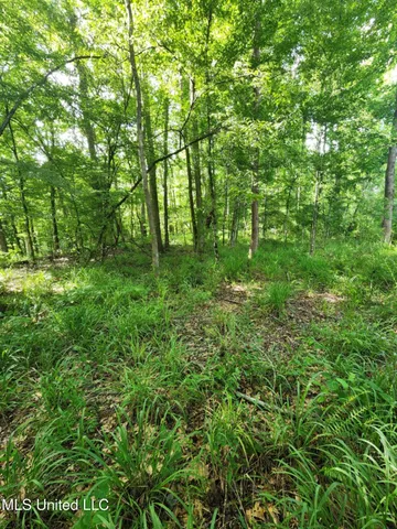 $1,299,000 | Phares Lane, Roxie, MS 39661