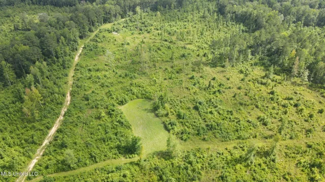 $1,299,000 | Phares Lane, Roxie, MS 39661