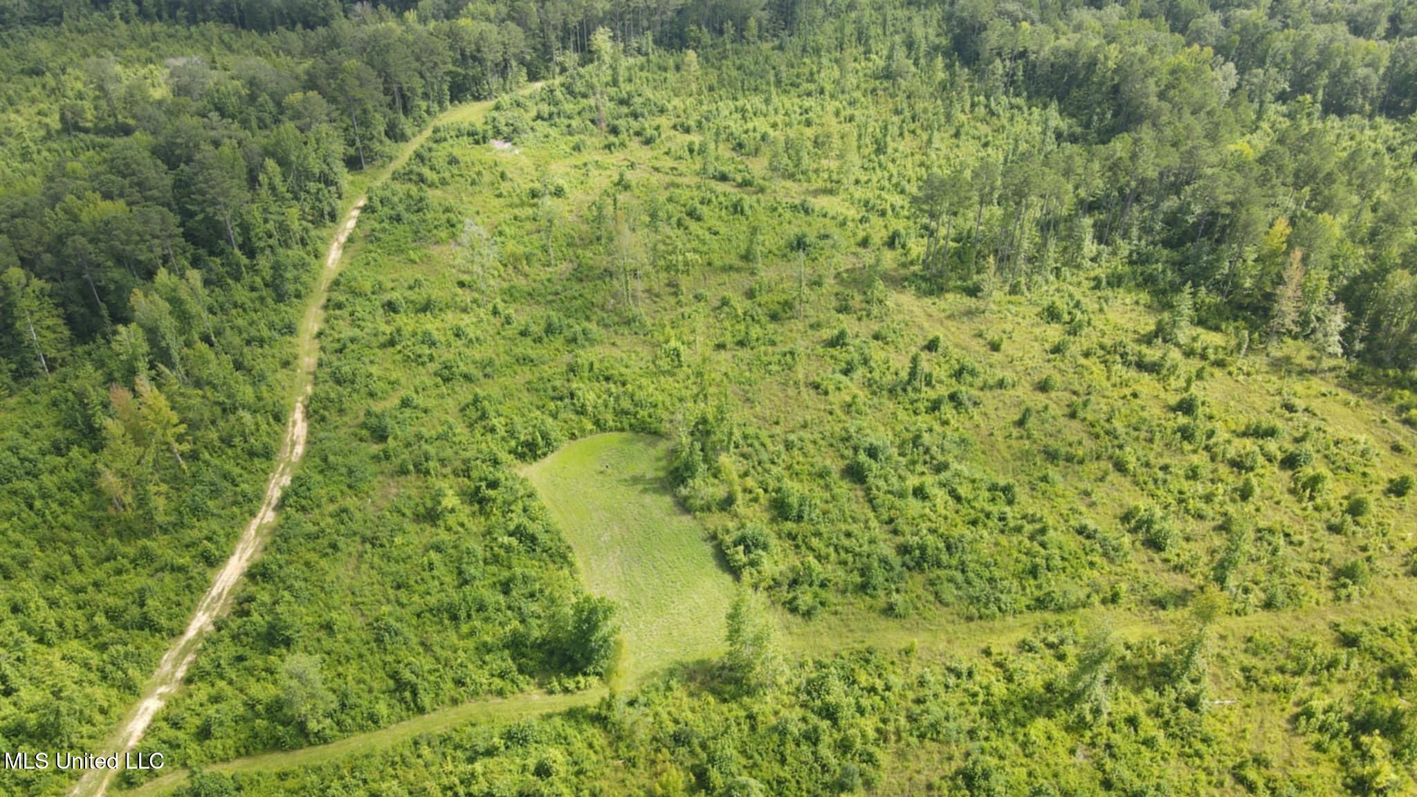 Phares Lane Roxie, MS 39661 - Photo 156 of 173 Messenger_creation_CB353DD5-1C23-4349-BA