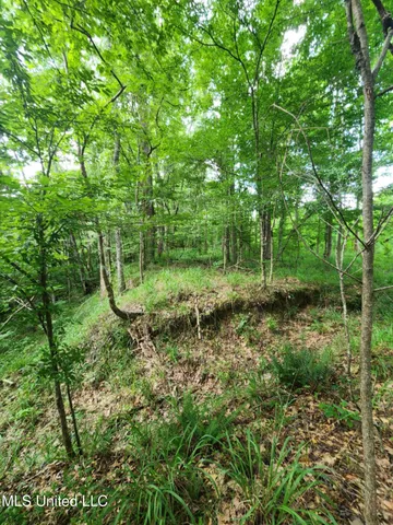 $1,299,000 | Phares Lane, Roxie, MS 39661