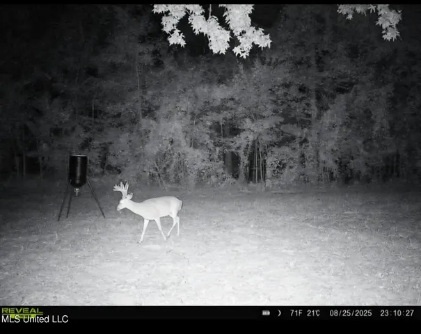 $1,299,000 | Phares Lane, Roxie, MS 39661