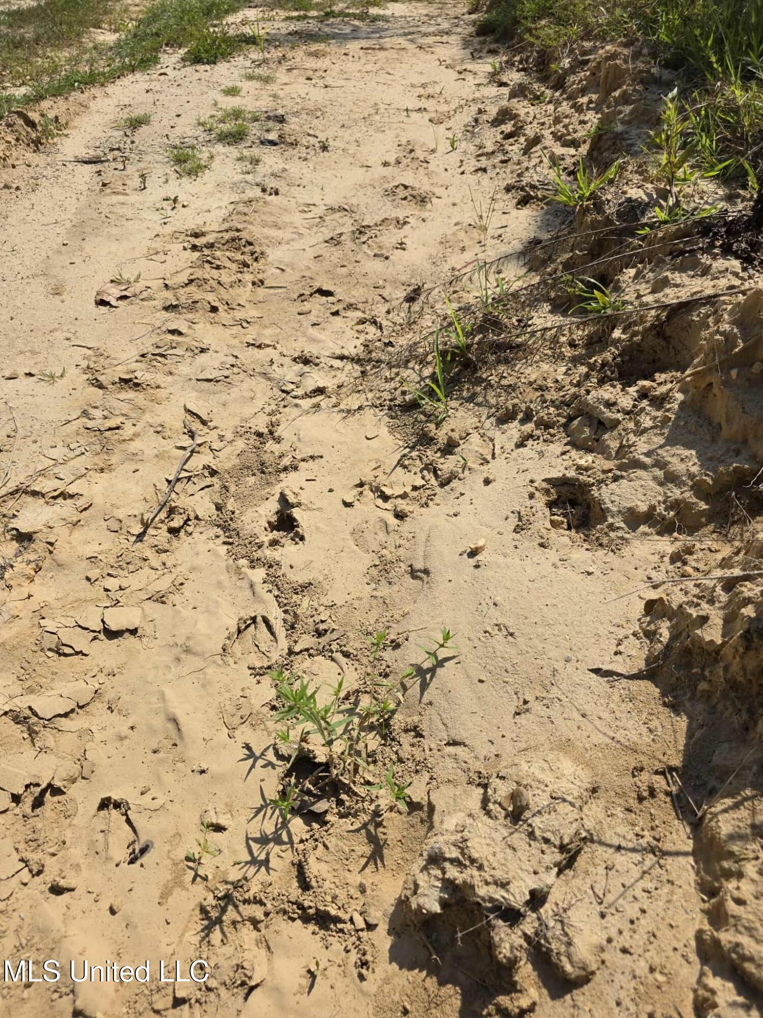 Phares Lane Roxie, MS 39661 - Photo 16 of 173 9f046bee-cdf3-4fd1-82f8-39047ce1e068