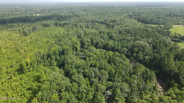 $1,299,000 | Phares Lane, Roxie, MS 39661