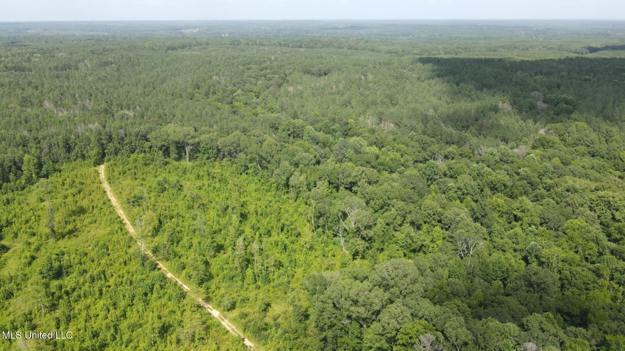 Phares Lane Roxie, MS 39661 - Photo 164 of 173 Messenger_creation_EAE1741C-668E-4B23-B1