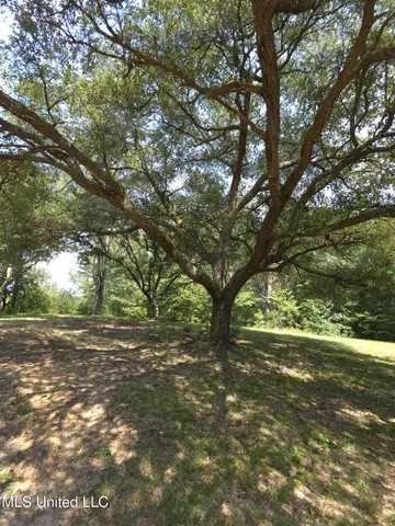 $1,299,000 | Phares Lane, Roxie, MS 39661