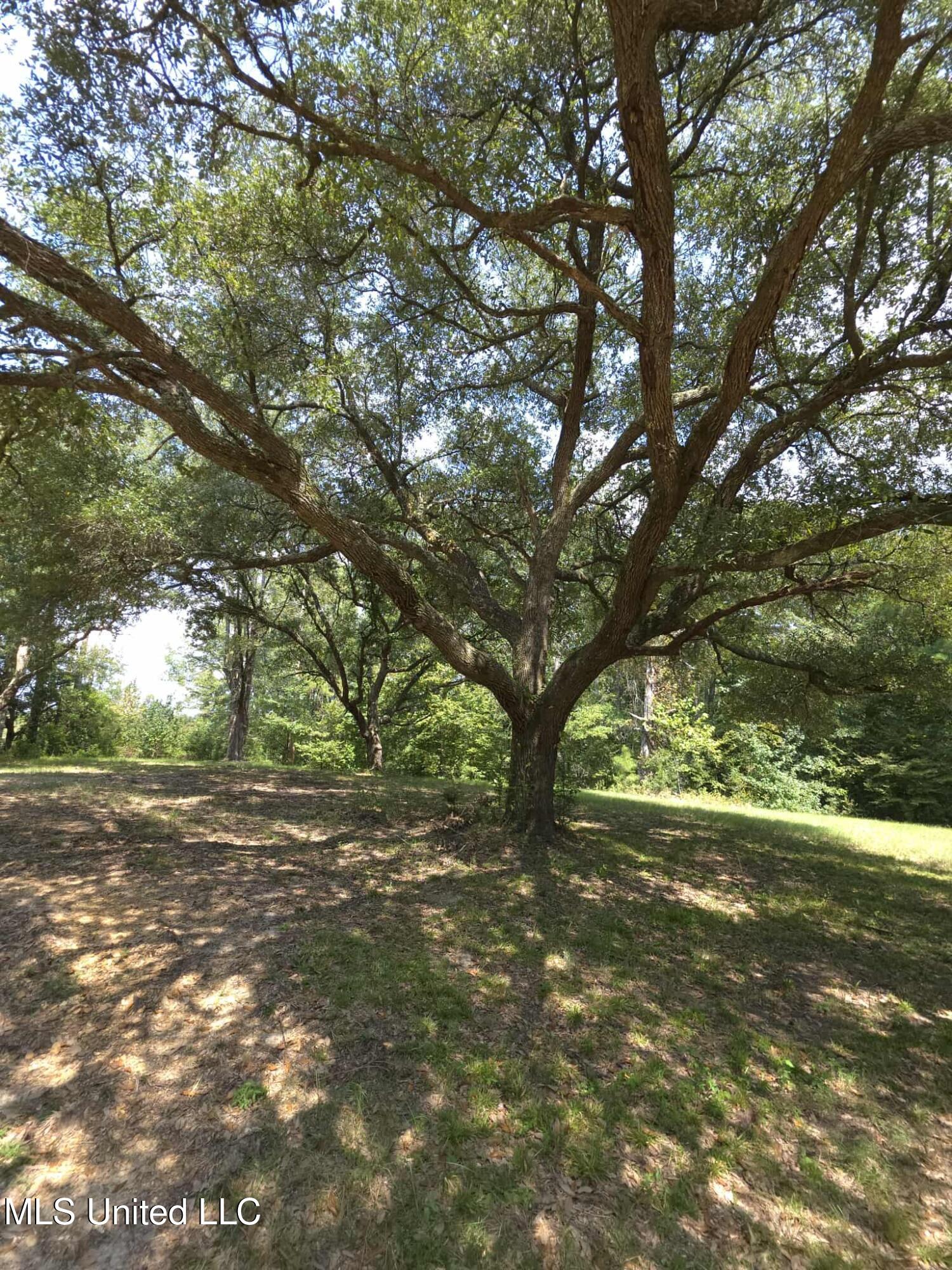 Phares Lane Roxie, MS 39661 - Photo 165 of 173 Messenger_creation_EB80420C-3C6F-4CE4-98