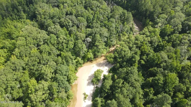 $1,299,000 | Phares Lane, Roxie, MS 39661