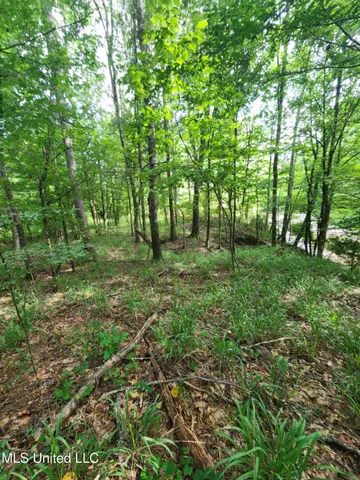 $1,299,000 | Phares Lane, Roxie, MS 39661