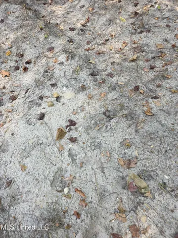 $1,299,000 | Phares Lane, Roxie, MS 39661