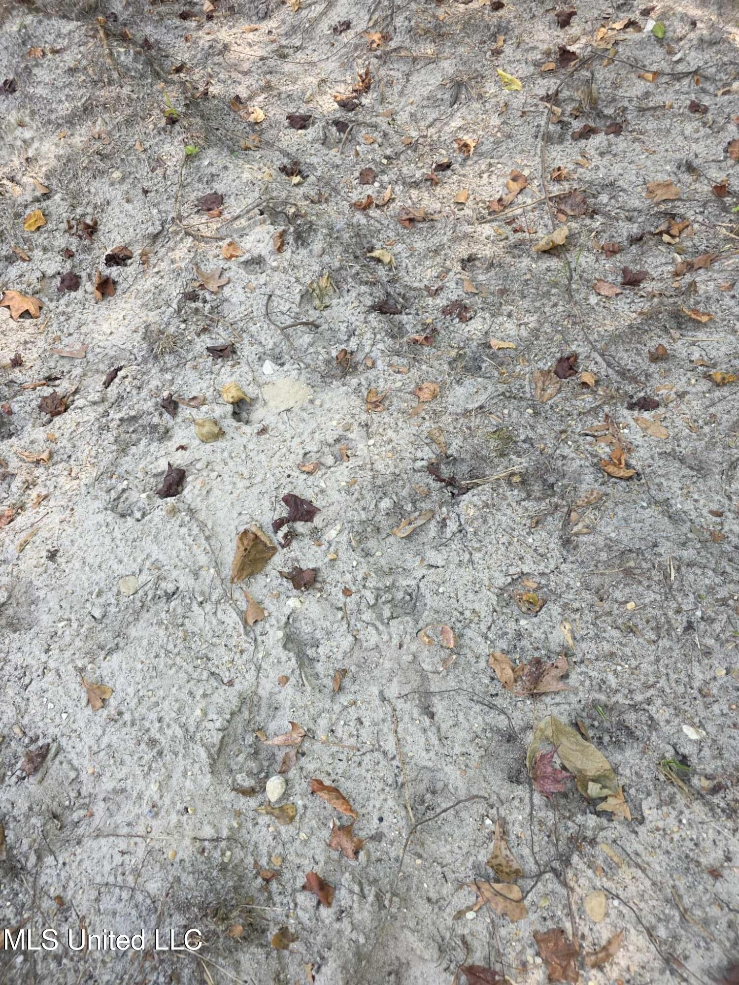 Phares Lane Roxie, MS 39661 - Photo 18 of 173 26c8dfc1-cb6b-456d-ba42-416d8a23ed8f