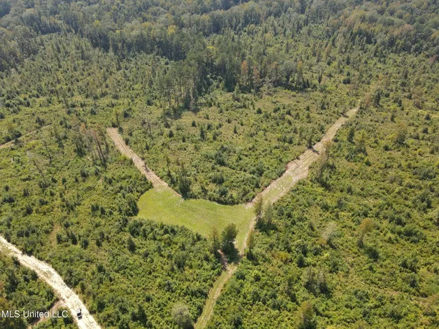 $1,299,000 | Phares Lane, Roxie, MS 39661