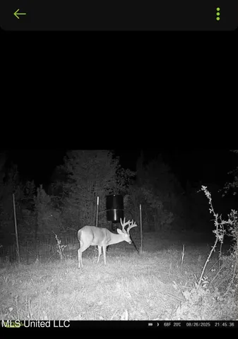 $1,299,000 | Phares Lane, Roxie, MS 39661