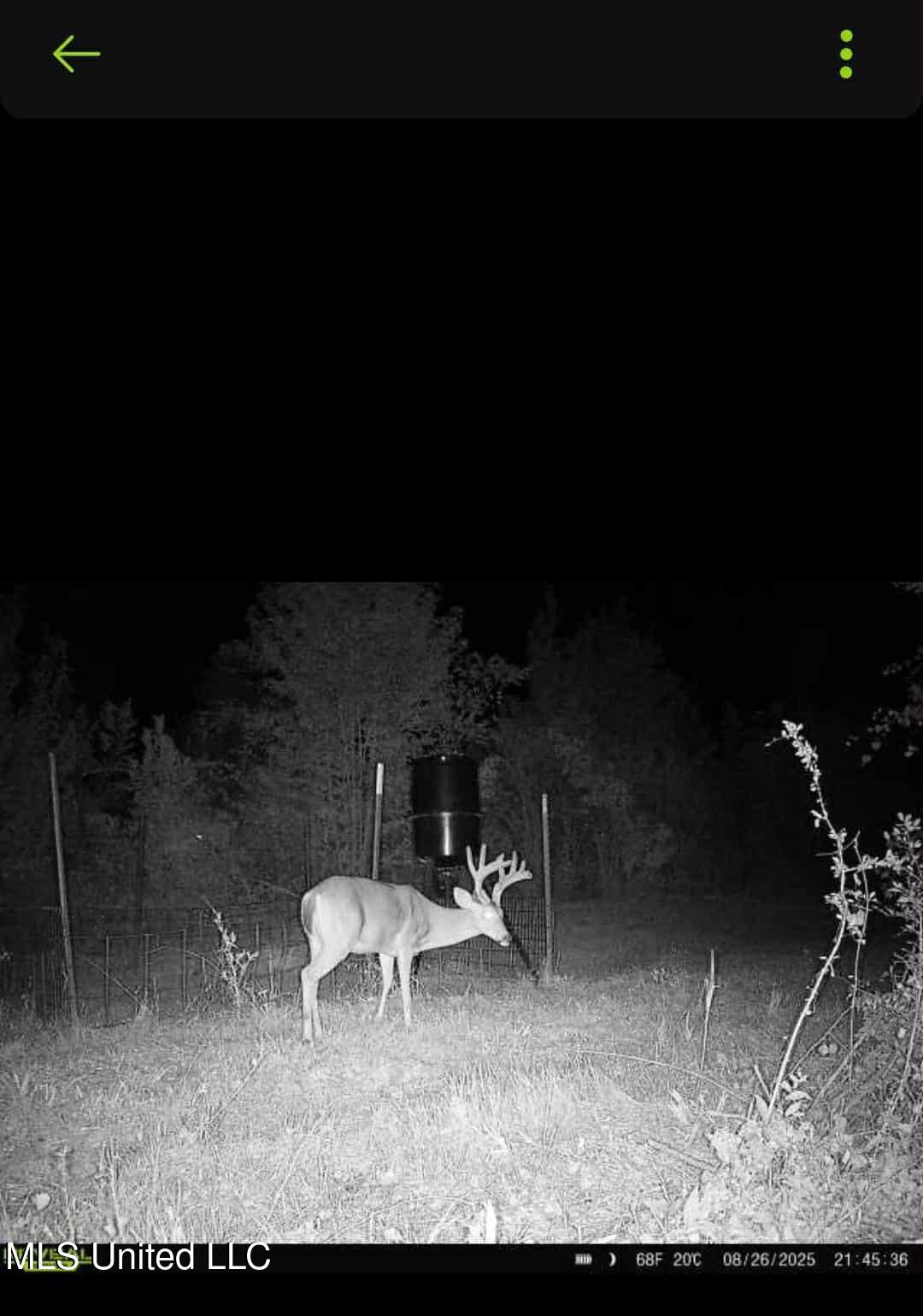 Phares Lane Roxie, MS 39661 - Photo 20 of 173 44b5ba79-6e40-4a04-bd8e-30dc5330c173