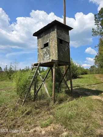 $1,299,000 | Phares Lane, Roxie, MS 39661