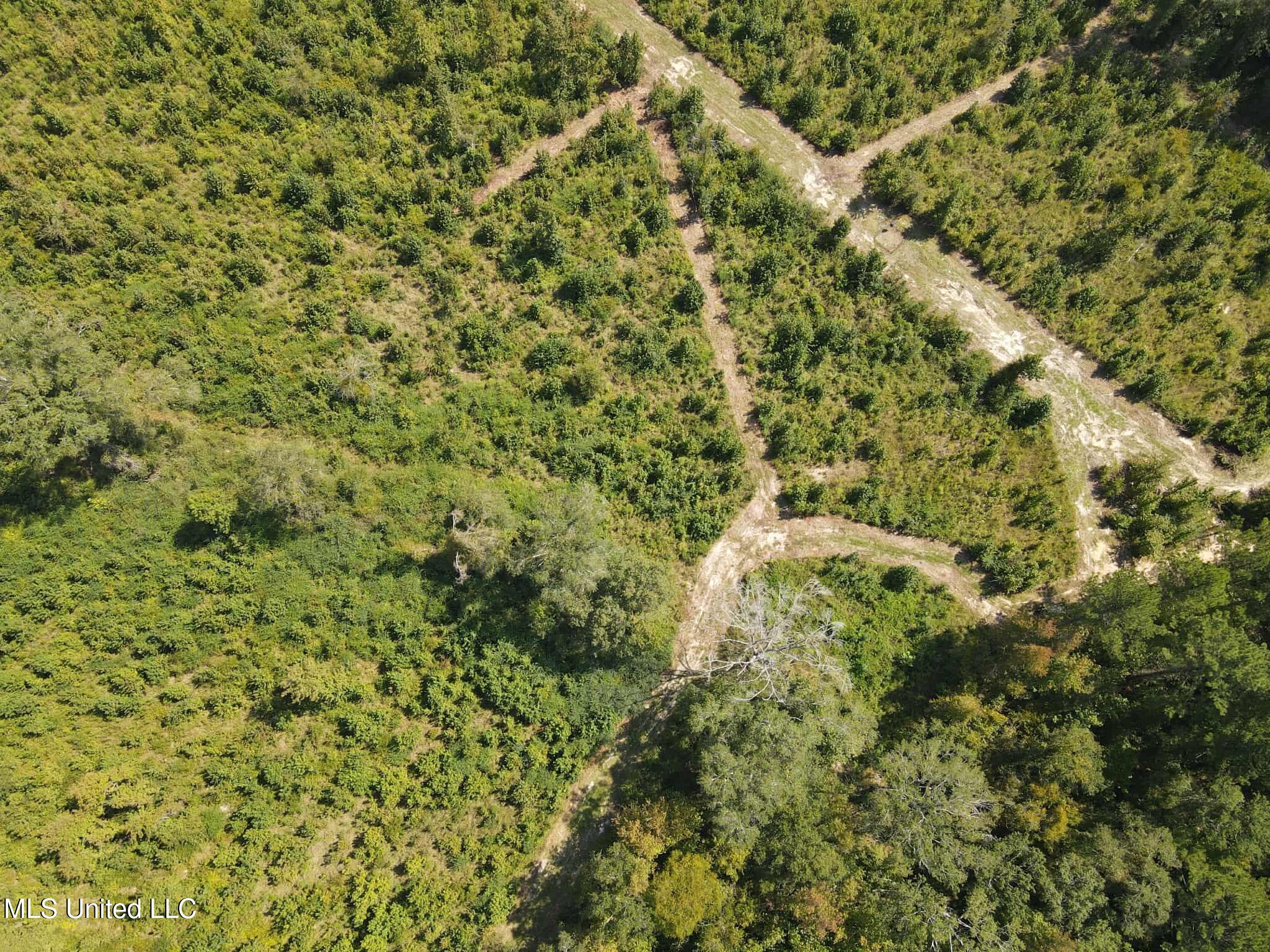 Phares Lane Roxie, MS 39661 - Photo 21 of 173 44fad015-bf05-4c76-b764-d8c8ac1a869c