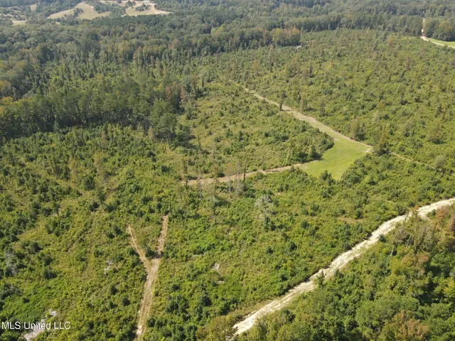 $1,299,000 | Phares Lane, Roxie, MS 39661