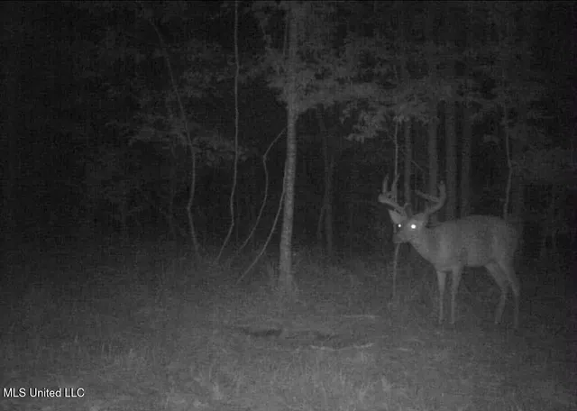 $1,299,000 | Phares Lane, Roxie, MS 39661