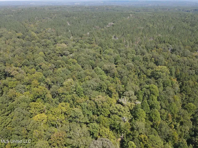 $1,299,000 | Phares Lane, Roxie, MS 39661