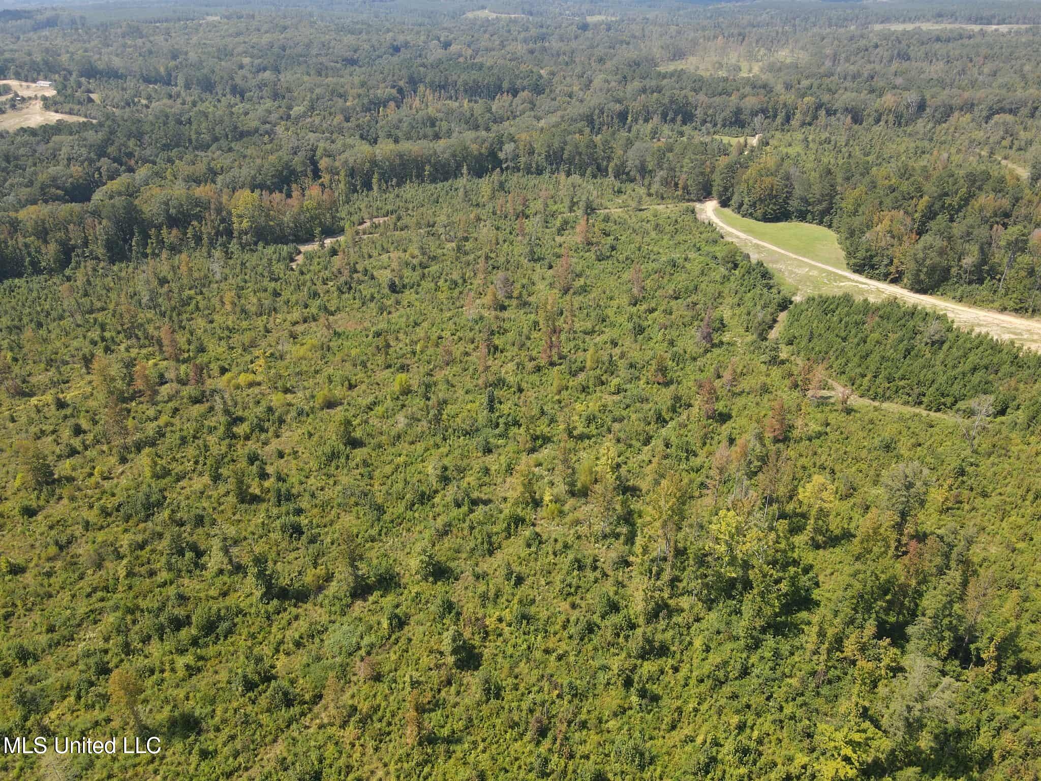 Phares Lane Roxie, MS 39661 - Photo 25 of 173 135b9e05-016e-4c9e-9ef6-9d1941d3fa8f