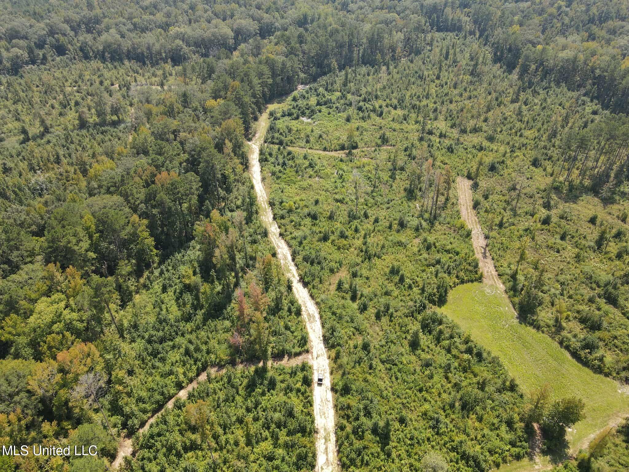 Phares Lane Roxie, MS 39661 - Photo 26 of 173 197be3f0-6a13-43dd-9a3b-1a5fbbf229cf