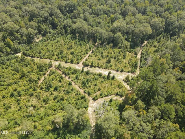 $1,299,000 | Phares Lane, Roxie, MS 39661