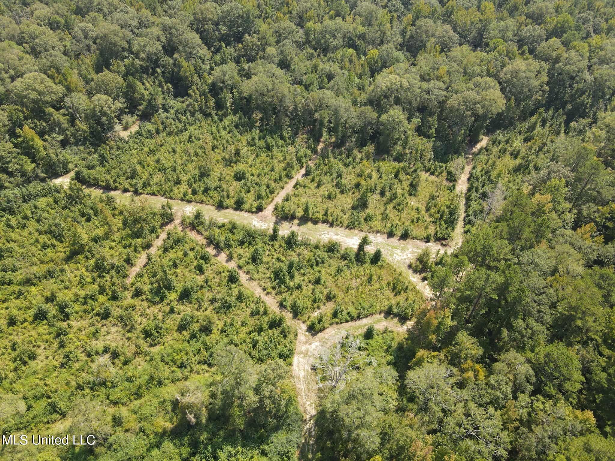 Phares Lane Roxie, MS 39661 - Photo 27 of 173 703ff060-79d1-4500-99b7-99213ddfd414